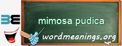 WordMeaning blackboard for mimosa pudica